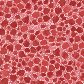 Figo Eden - Rocks Red