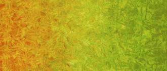 Robert Kaufman * AMD-7034-148 PUMPKIN