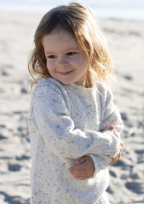 Alpaca Yarns Tweedie Sox Sweater - Knitting Pattern / Kit