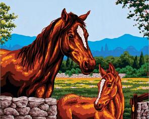 Collection D'Art Tapestry Canvas 50X60 Mare & Pony
