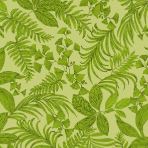 Michael Miller Exotica - Tropical Toile - Fern