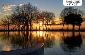 Northcott DP23414-43 LAKESIDE NIGHT 28" Panel