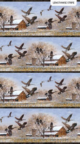 Northcott * DP23512-34 BROWN MULTI