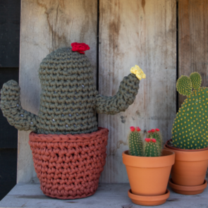 Hoooked Cactus Crochet Pattern