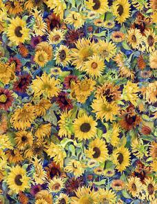 Wilmington MM Fabs Joanne Porter Flowers of the Sun 1419-79278-573