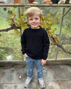 Petite Knit Harald's Jumper - Knitting Pattern / Kit