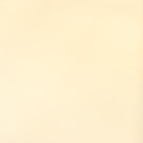 Sevenberry Japan 95% Cotton 5% PU 248gsm #2688W1