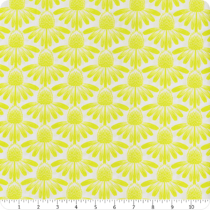 Northcott Anna Maria - Indelible || Cone Flower - Sun