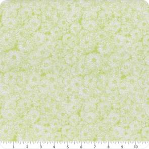 Northcott Anna Maria - Indelible || Mums - Spring