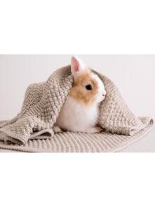 Lana Grossa Pattern / Kit - Cool Wool Baby - Infants Blanket (0090)