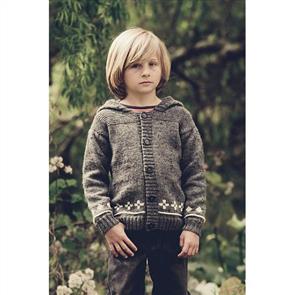 Lisa F Little Cupcakes LF11 Patterned Jacket with a Hood - Knitting Pattern / Kit