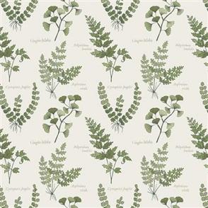 Lewis & Irene Lewis and Irene - The Botanist - Ferns and Leaves Cream