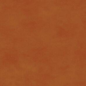 Maywood Shadow Play | Natural Apricot Orange