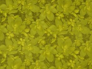 Maywood Catalina /Marti Michell Dark Green Tonal Blossoms