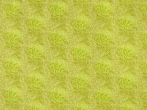 Maywood Chantille 44" 610