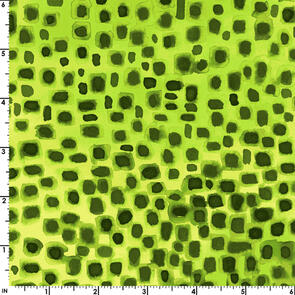 Maywood Wild By Nature /Kathy Deggendorfer Wbn Green Seeing Spots