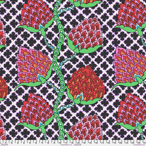 Free Spirit Kaffe Fassett Collective 2024 - Paisley Flower Contrast