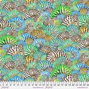 Free Spirit Nautilus Shell - Blue || Treasure Island