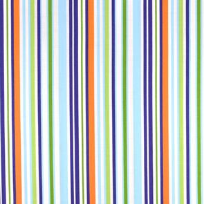 RJR Crazy For Dots & Stripes Crazy For Dots & Stripes R8173/011