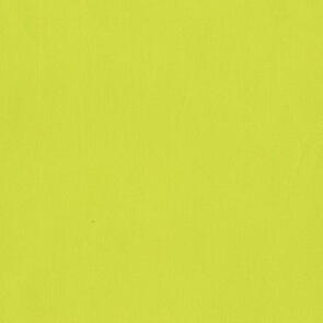 RJR Cotton Supreme Solids Glow In The Dark R9617/204