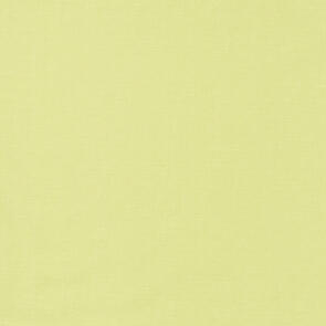 RJR Cotton Supreme Solids Sage R9617/224