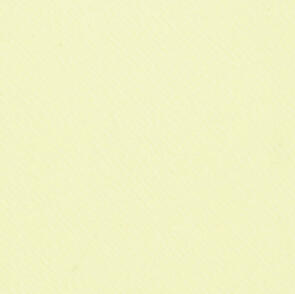 RJR Cotton Supreme Solids Leek R9617/240