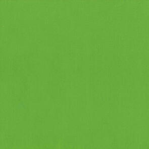 RJR Cotton Supreme Solids Aloe Verde R9617/349