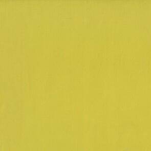 RJR Cotton Supreme Solids Harlequin R9617/358