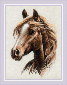 Riolis Counted Cross Stitch Kit - 2293 Proud Spirit