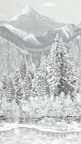 Robert Kaufman * SRKM-19267-88 ICE