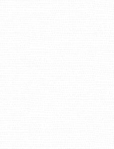 Dear Stella Moonscape Basics - Marshmallow