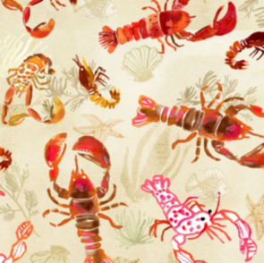 Dear Stella High Seas DAW1368 MULTI