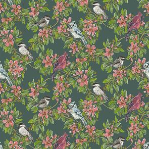 Dear Stella Wildwood - Multi