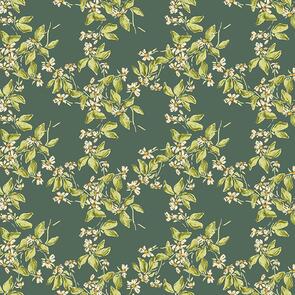 Dear Stella Wild Daises - Clover