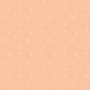 Dear Stella Kitty Litter Blender - Cantaloupe