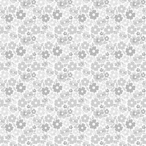 Dear Stella Quiet Riot - Blossom