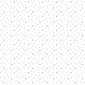 Dear Stella Quiet Riot - Boop