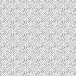 Dear Stella Quiet Riot - Cheet-oh