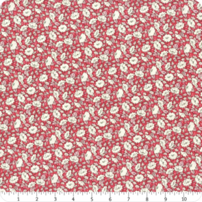 Liberty Tudor Celebration - Mayflower Meadow B