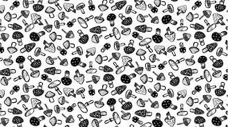 Dear Stella Fawn & Forest - WG1446 White