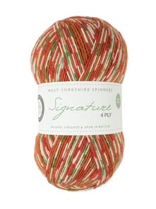 West Yorkshire Spinners Signature 4 Ply - Christmas - Sock Yarn