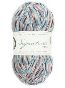 West Yorkshire Spinners Signature 4ply 100g Sock Yarn - Country Birds