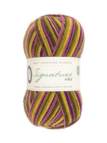 West Yorkshire Spinners Signature 4ply 100g Sock Yarn - Cocktail