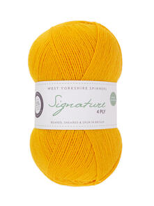 West Yorkshire Spinners Signature 4ply 100g Sock Yarn