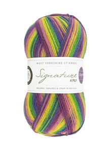 West Yorkshire Spinners Signature 4ply 100g Sock Yarn - Winwick Mum