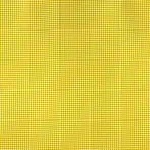 Michael Miller Tiny Gingham Citron