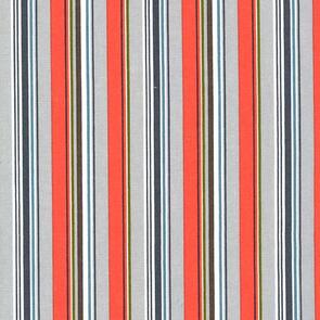 Michael Miller Critter Tails Woodland Walk Gray