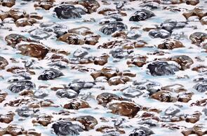 Michael Miller Winter Snow Snow Snow Rock