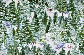 Michael Miller Winter Snow Snow Snow Forest