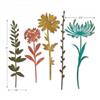Sizzix Tim Holtz Thinlits Dies By  - Wildflower Stems #1